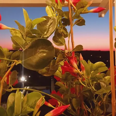 La Terra Del Sole Apartamento